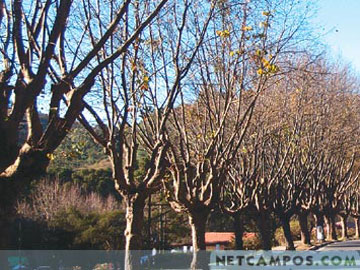 9163416_07.jpg