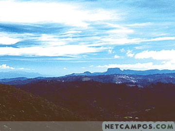 9163535_11.jpg