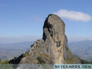 9163629_15.jpg