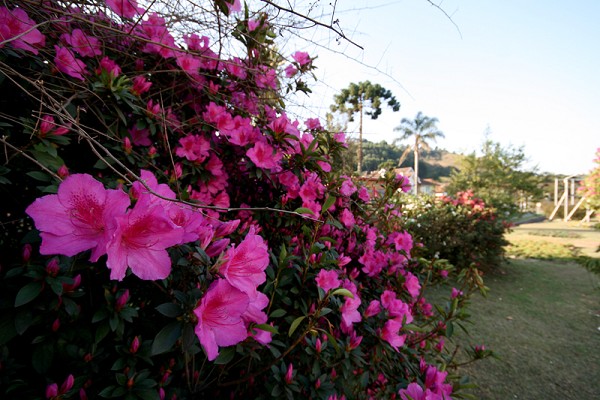 91_84542_img_8574_178.jpg