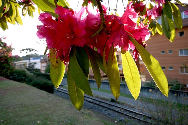 91_84941_img_8611_178.jpg