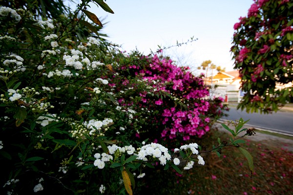 91_85345_img_8687_178.jpg