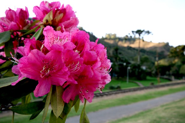 91_8587_img_8721_178.jpg