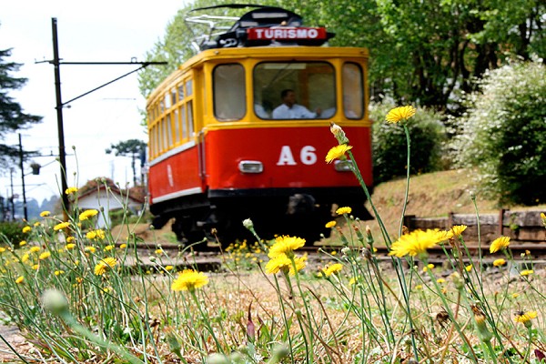 920_163942_primavera20campos20do20jordao201_161.jpg