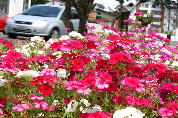 920_164012_primavera-campos-do-jordao-2_161.jpg