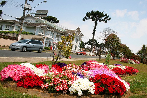 920_164143_primavera-campos-do-jordao-5_161.jpg