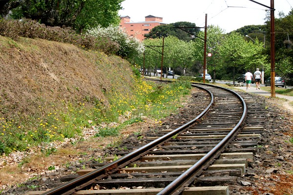 920_164736_primavera-campos-do-jordao-14_161.jpg