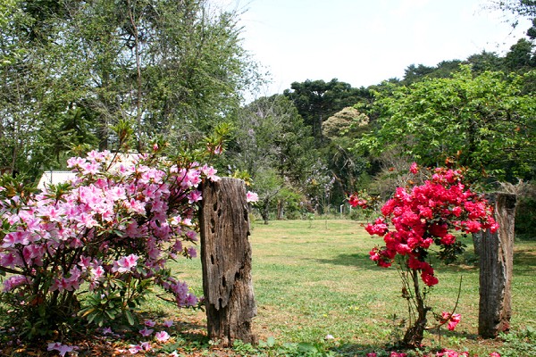 920_164759_primavera-campos-do-jordao-15_161.jpg