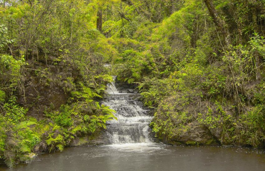 Eco-Parque-Pesca-na-Montanha-5