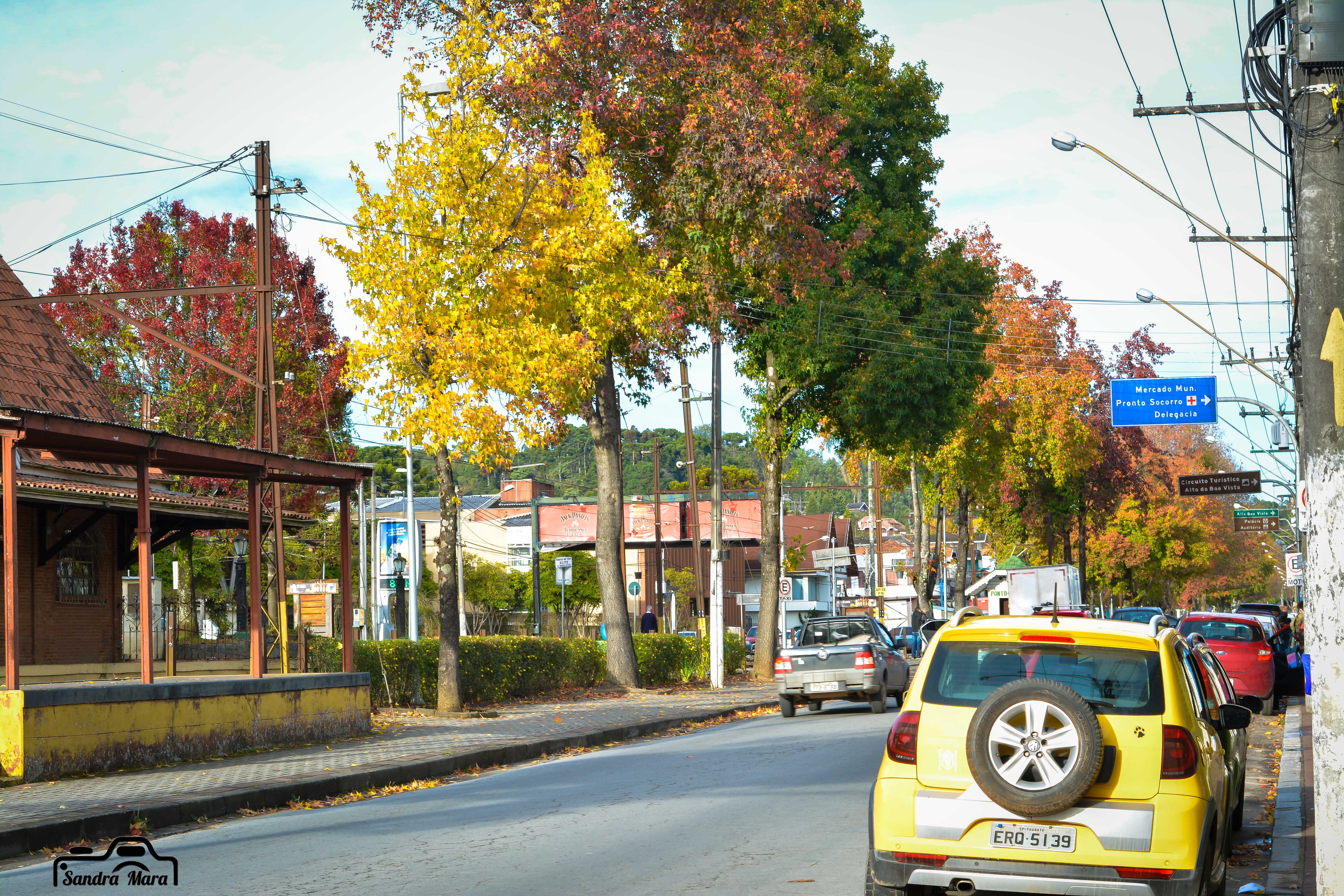 abernessia-campos-do-jordao-100