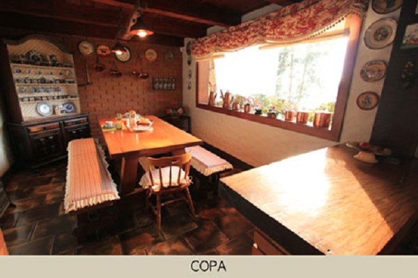 area_social_copa-1.jpg