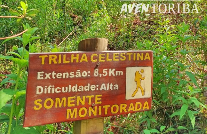 aventoriba_trilha-celestina-horto-florestal_hotel-toriba-campos-do-jordao-1