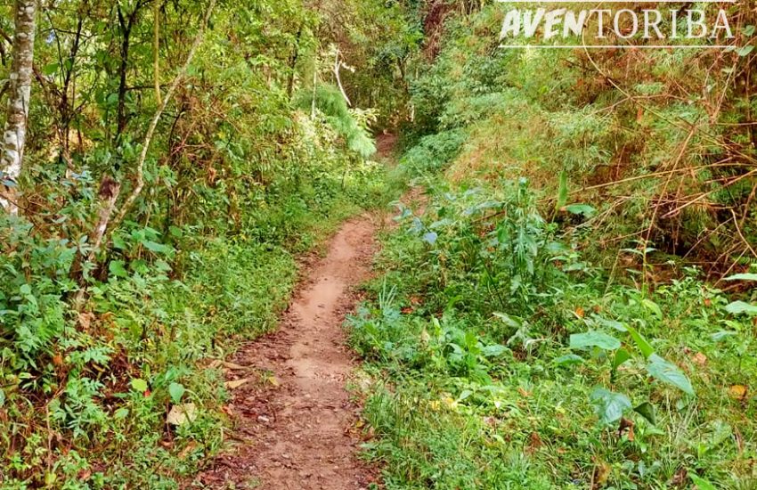 aventoriba_trilha-zigue-zague_hotel-toriba-campos-do-jordao-2
