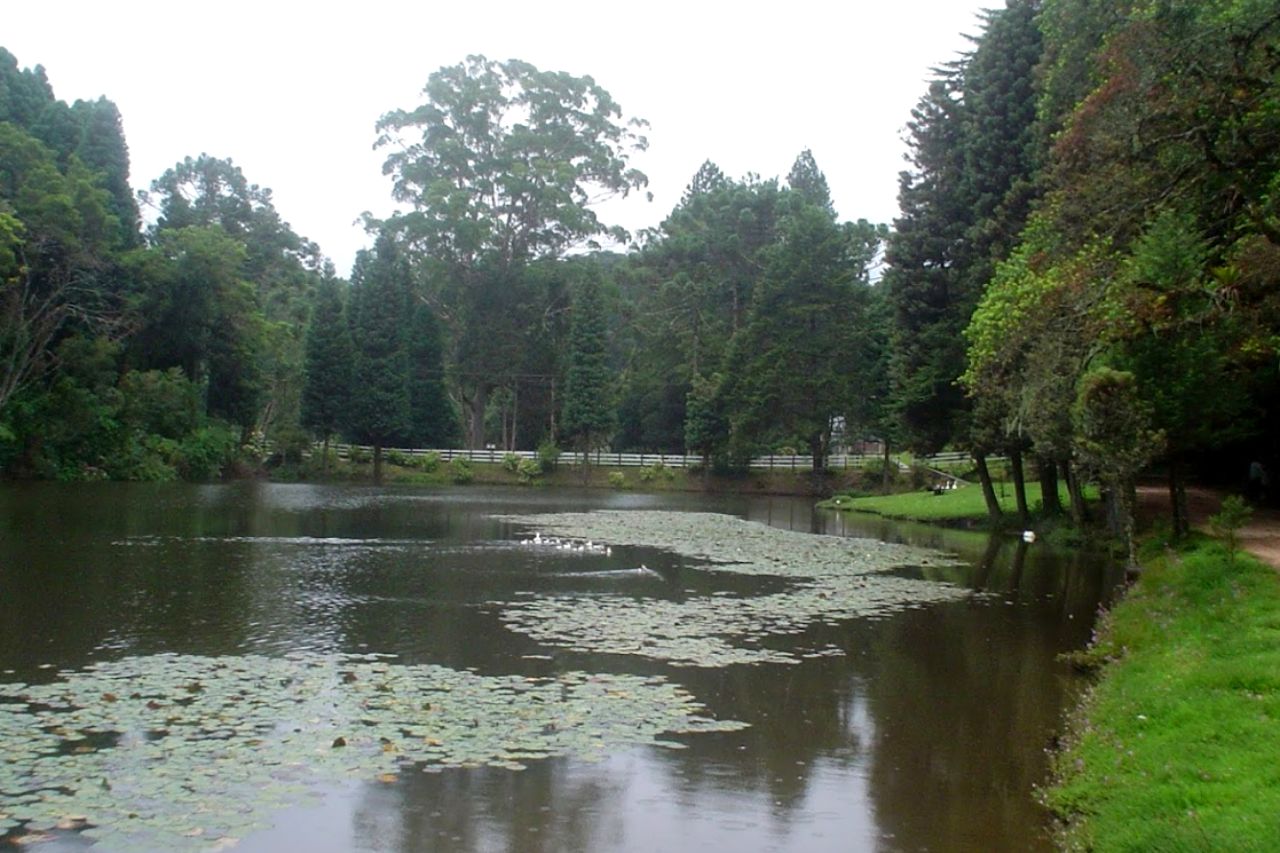 Califórnia