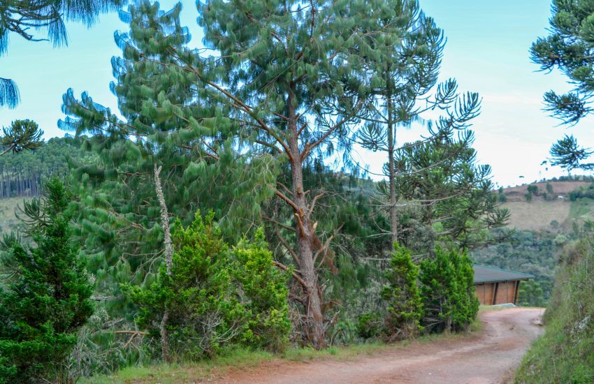 chales-rancho-santo-antonio-campos-do-jordao-07