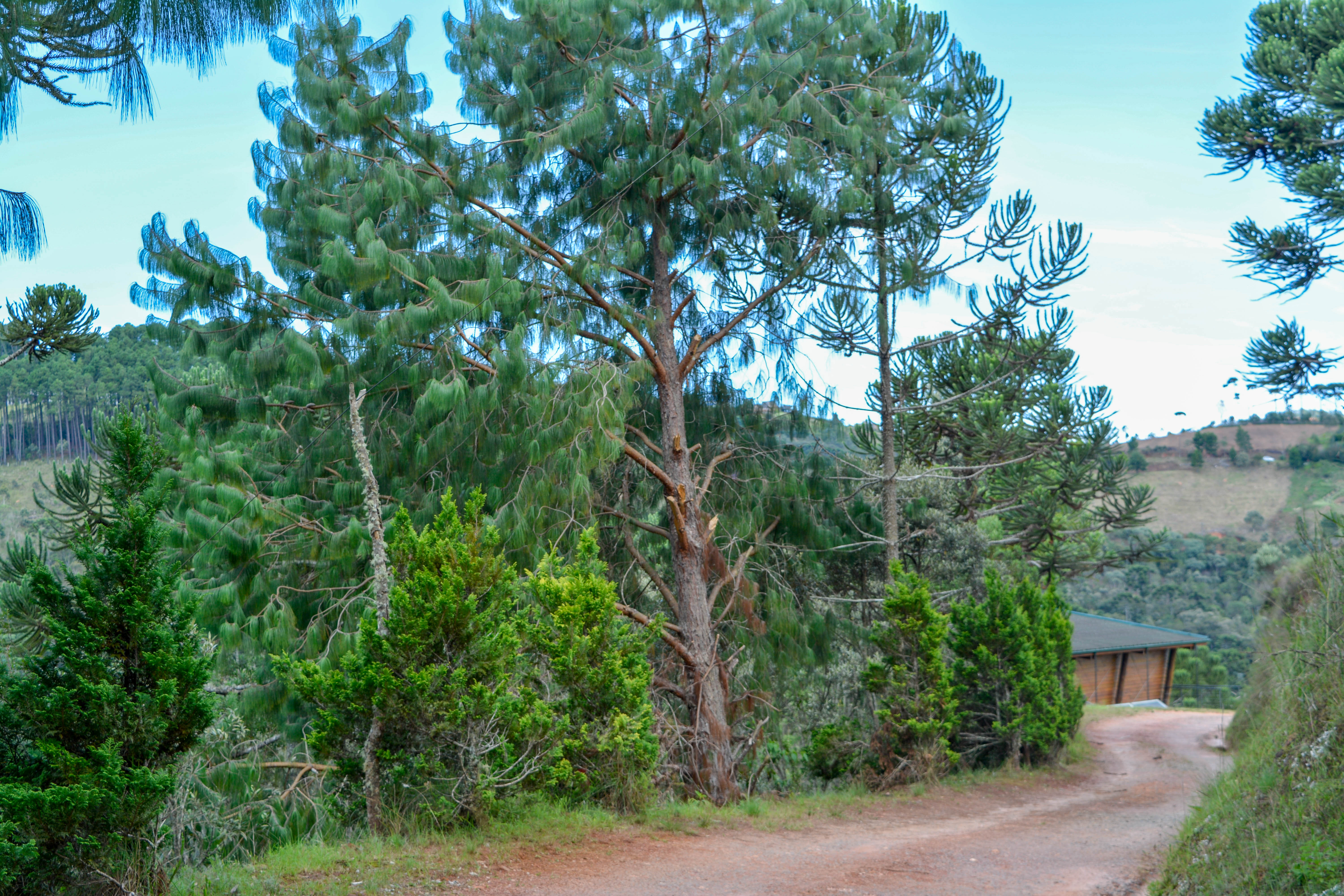 Chalés do Rancho Santo Antônio