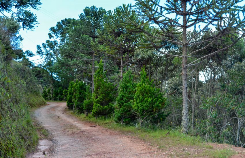 chales-rancho-santo-antonio-campos-do-jordao-17