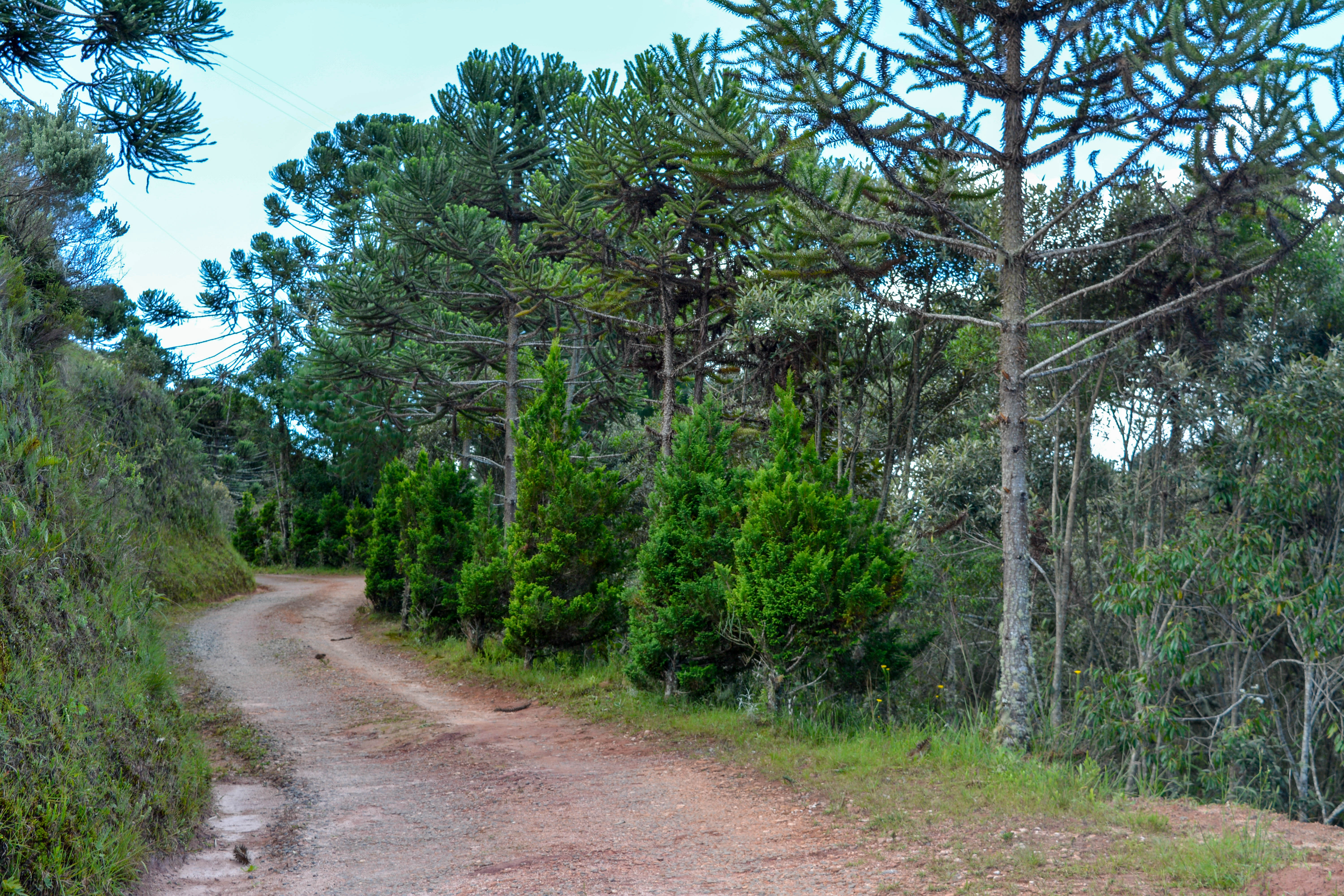 Chalés do Rancho Santo Antônio