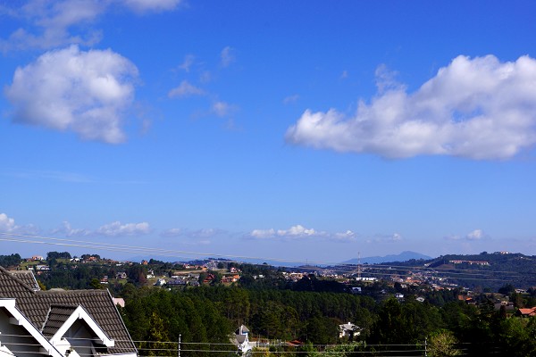 dsc02086-1.jpg
