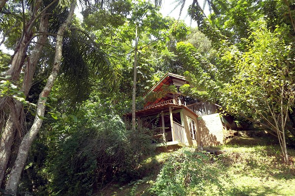 dscf0471-1.jpg