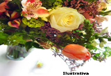 Flora Jardins e Quintais