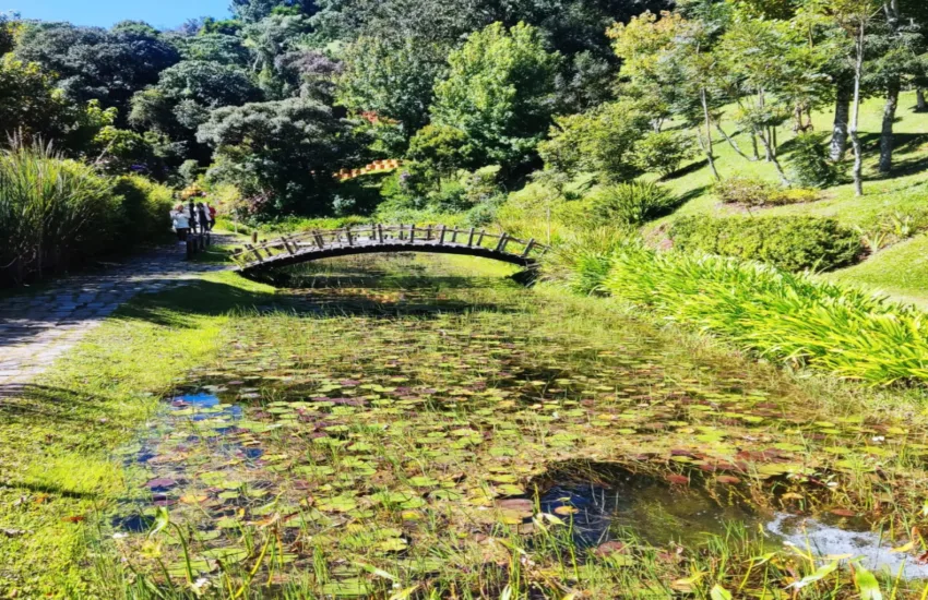 giglio-tour-campos-do-jordao-09
