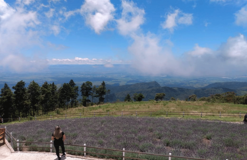 guia-denison-campos-do-jordao-01
