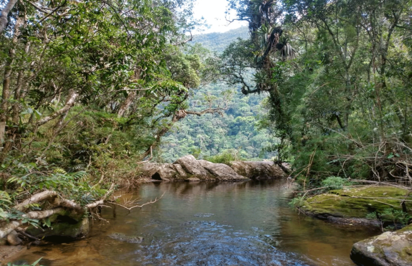 guia-denison-campos-do-jordao-10