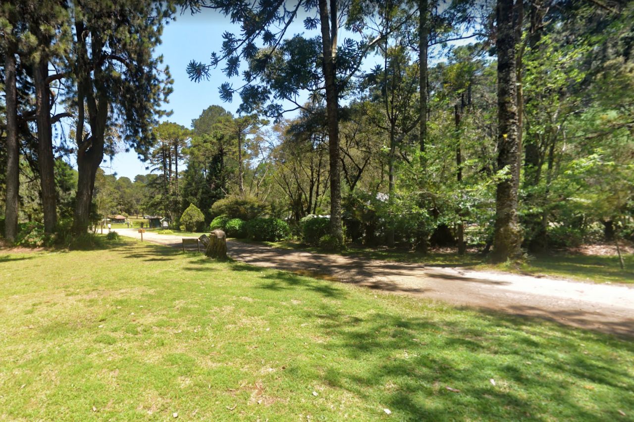 Horto Florestal