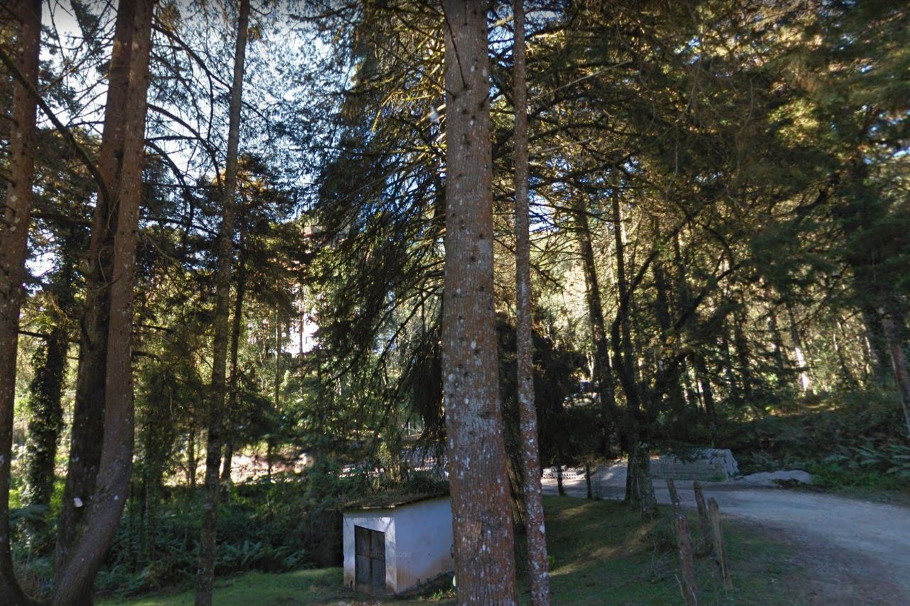 Jardim Alpestre