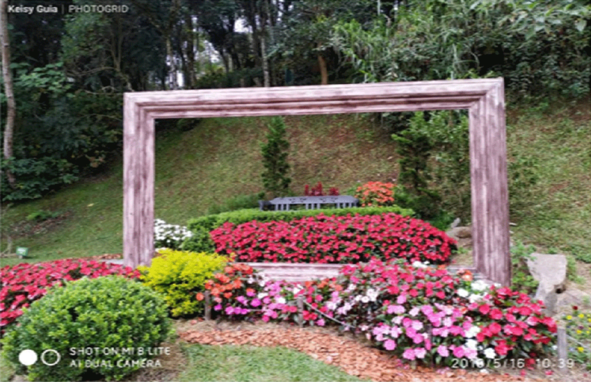 keisy-guia-de-turismo-campos-do-jordao-01