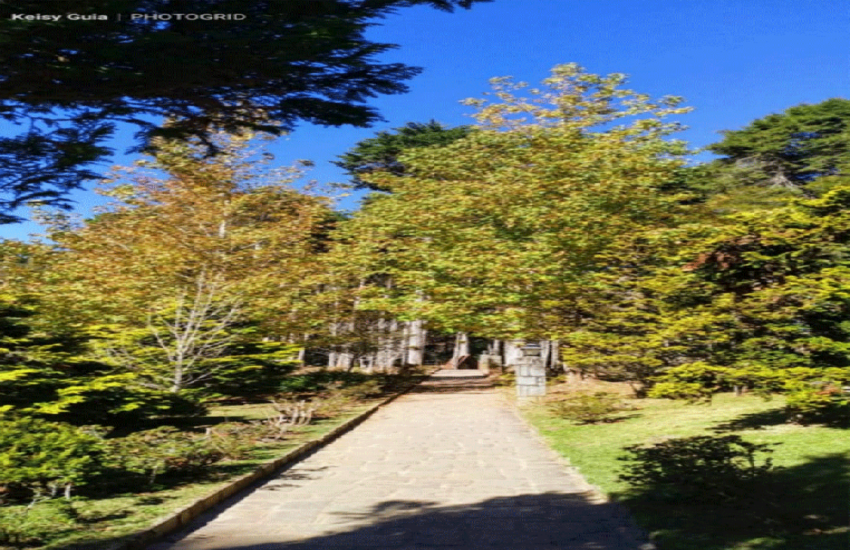 keisy-guia-de-turismo-campos-do-jordao-02