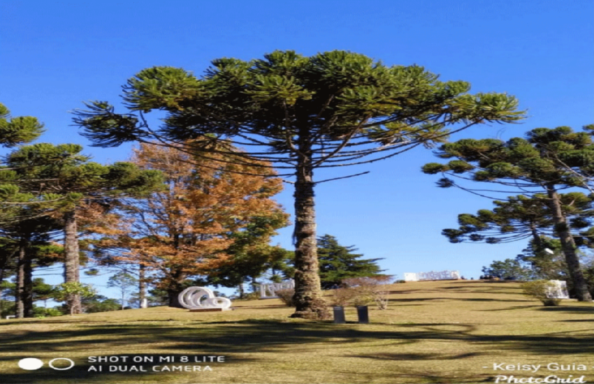 keisy-guia-de-turismo-campos-do-jordao-08