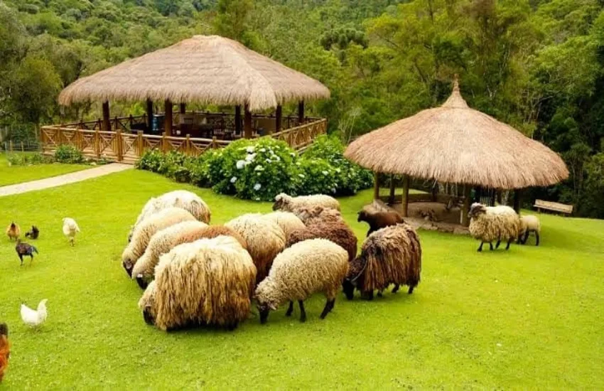 marcos-hoffman-campos-do-jordao-18