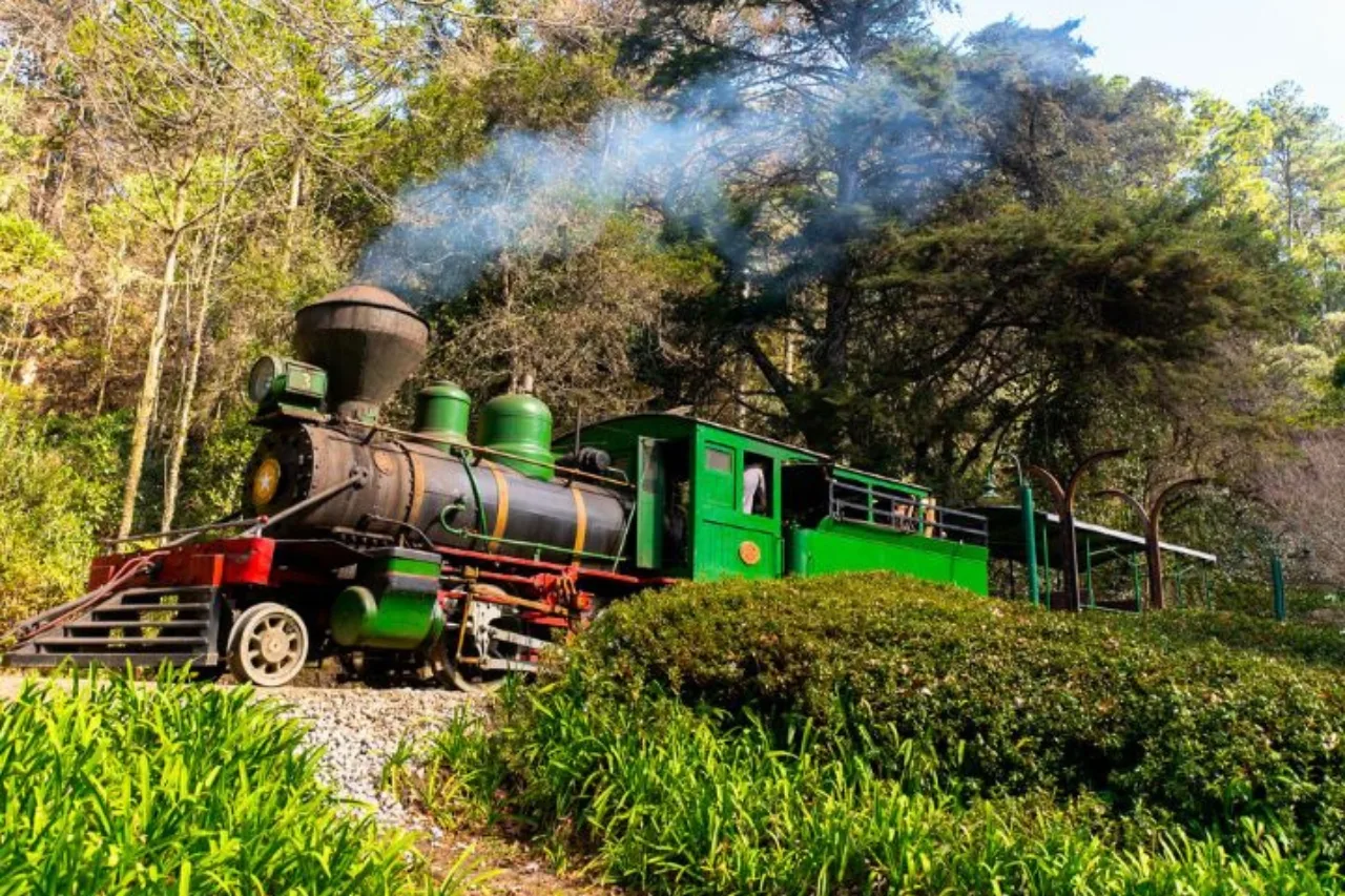 Parque Bambuí