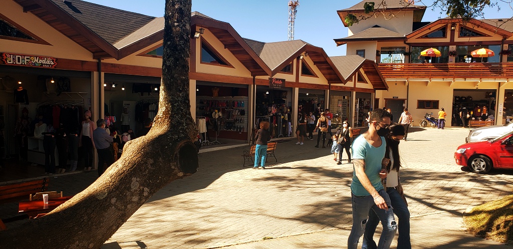 morro-elefante-campos-do-jordao-35