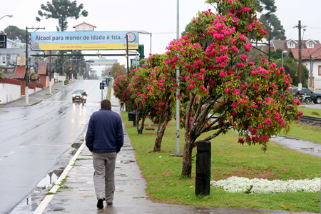Frio em Campos do Jordão Frio em Campos do Jordão